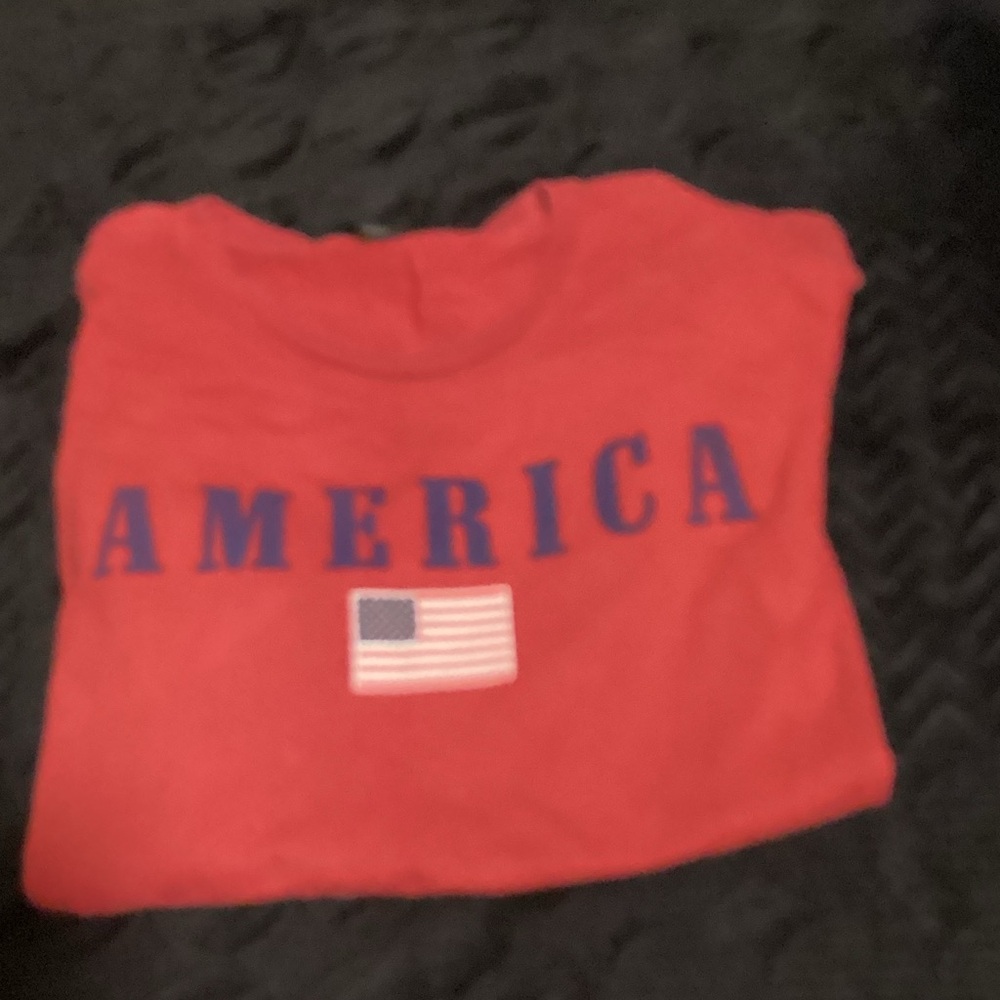 Anvil Red Tee with America Print